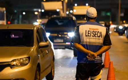 Lei seca: Reflexões sobre legalidade e eficácia